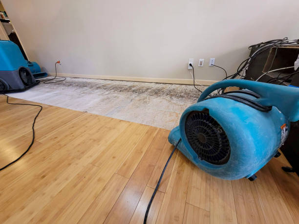 Professional Water Removal technician working in Wadsworth, OH